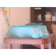 Piscine Hippopotame