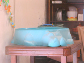 Piscine Hippopotame