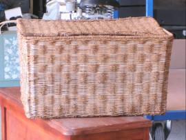 PANIERE