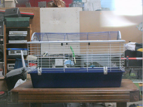 Cage à petits animaux