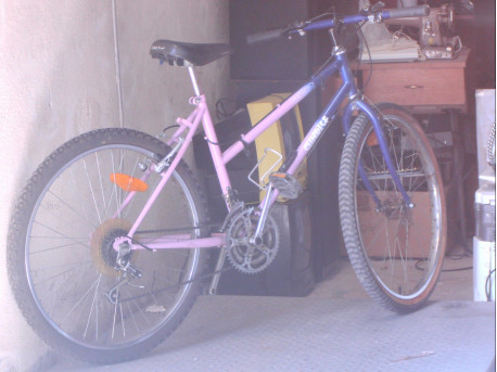 26P ROSE/BLEU